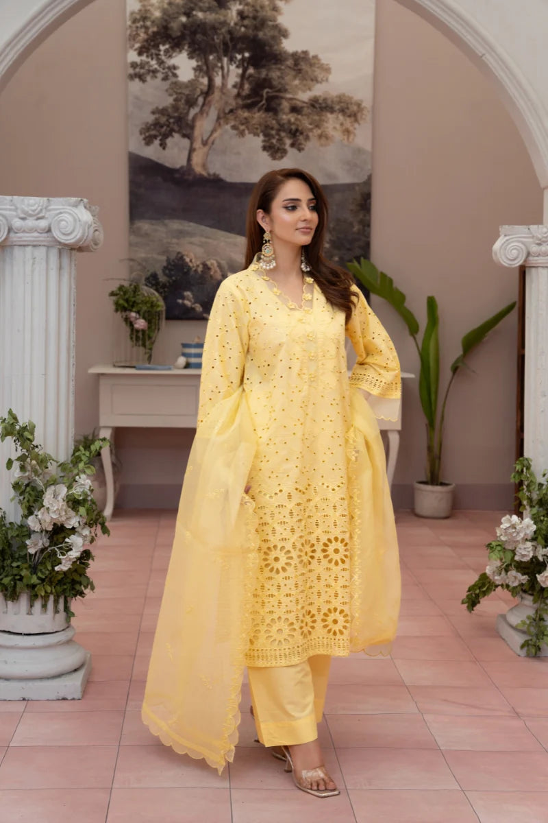 Stitched Premium Lawn-3 Piece TL-144