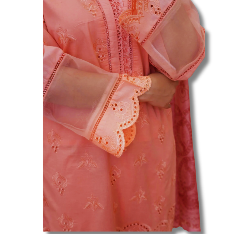 Stitched Premium Lawn-3 Piece TL-143